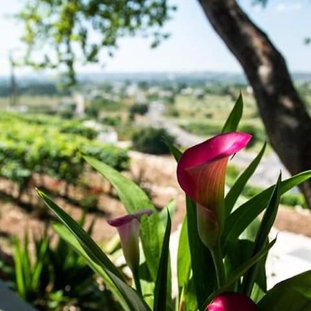 Belvedere Locorotondo Luaran gambar
