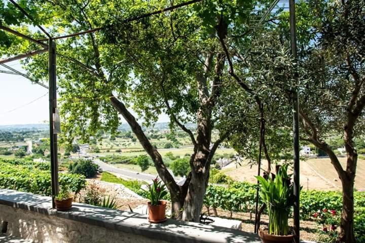 Belvedere Locorotondo Luaran gambar